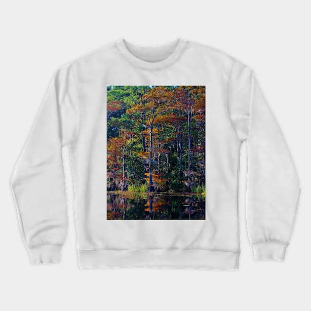 Autumn Trees Crewneck Sweatshirt by Cynthia48